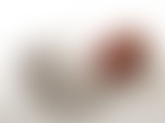 Newborn Session | Zephyr