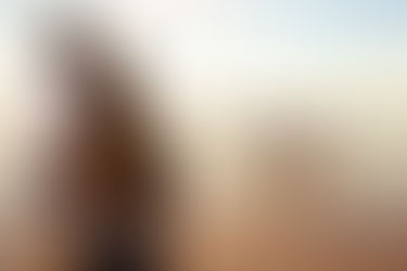 Christmas Mini | Ellis