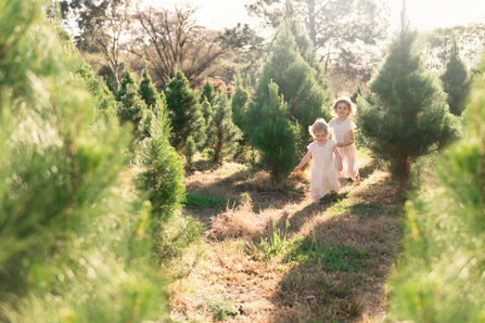 How to prepare for your Christmas Mini Session at the Christmas Tree Farm