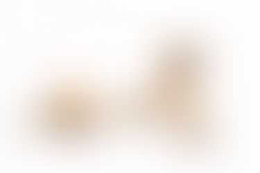 Dogs | Cassie & Phoebe the Labradors