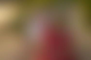 Maternity Session | Lauren & Mike