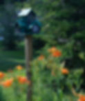House on Pole.jpg