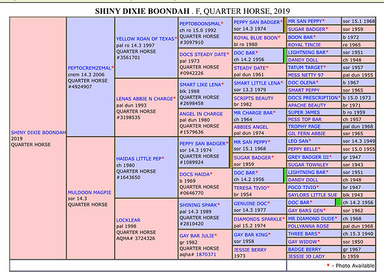 pedigree Dixie.jpg