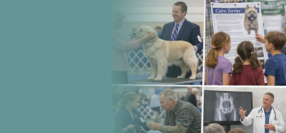 what we do final.png