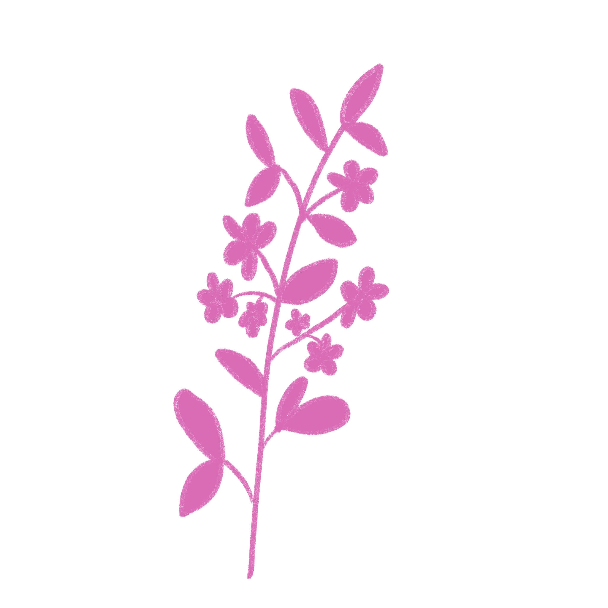 Branche en fleurs - rose