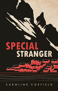 special-stranger_ebook_front.jpg