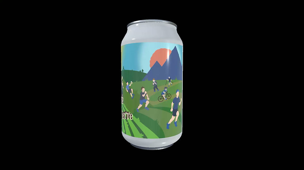 Miniature : Le pack de 6 canettes de bière LGDP