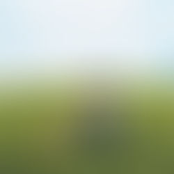 Growing Pains and Silver Linings with grentperez