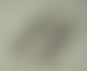 大阪府下一斉ナンバープレート盗難防止ネジ無料取付けキャンペーンが実施されます!