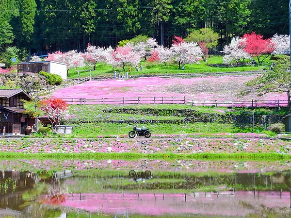 2025年前期 1_PC.png