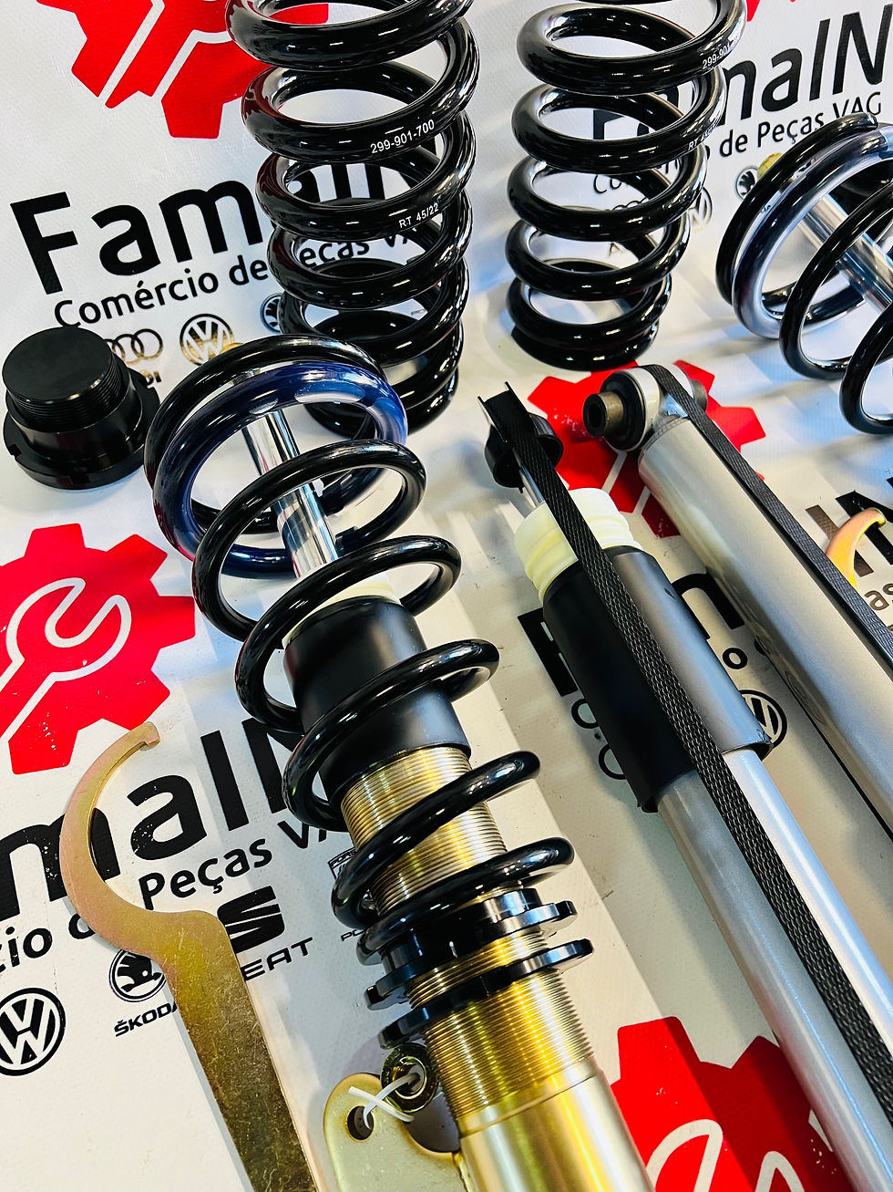 Miniatura: Kit Coilovers BMW 320d F31/F30 (DTS BLACK EDITION)