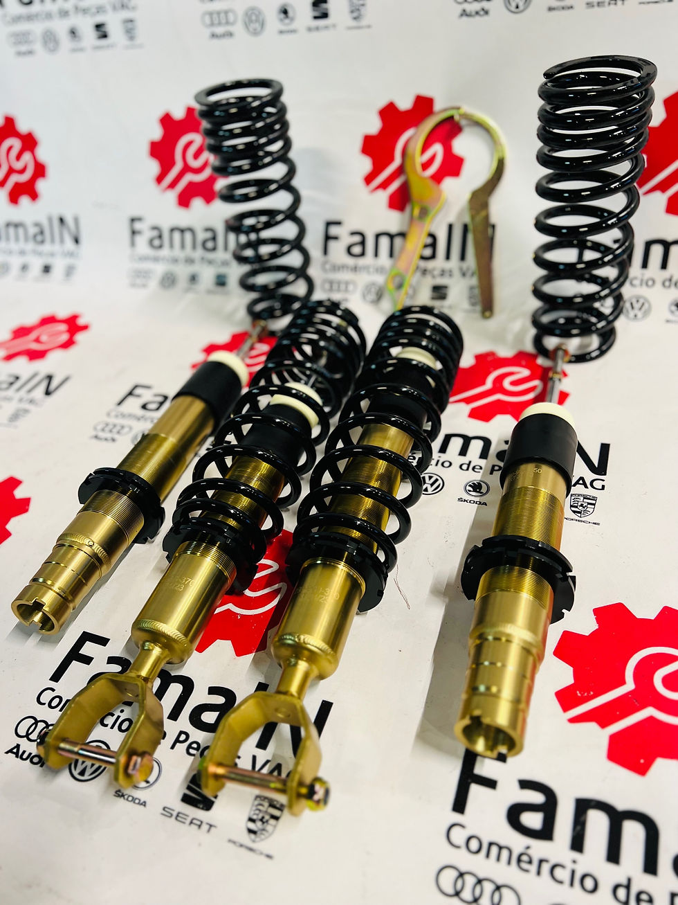 Miniatura: Coilovers DTS BLACK EDITION 2024 HONDA EG3/EG4/EG5/EG6
