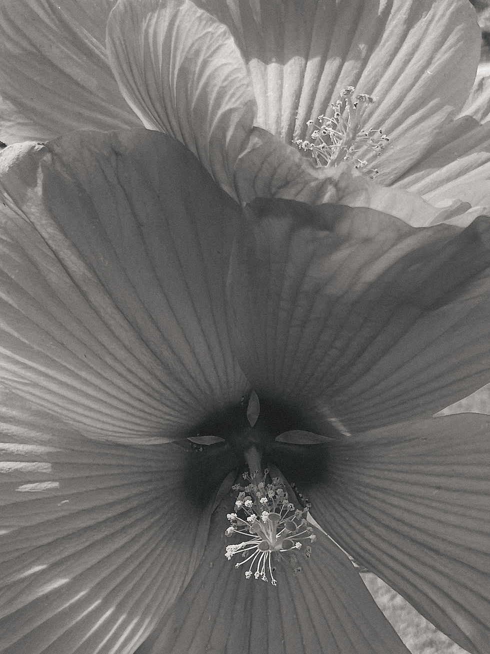Decorative