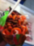 TOSTILOCOS