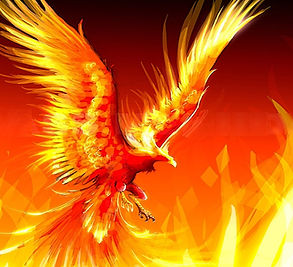 ave-fenix-741729.jpeg
