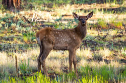 _V141537-Edit