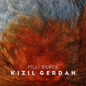 pilli-450x450.jpg
