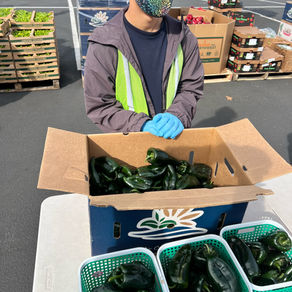 Second Harvest Food Distribution