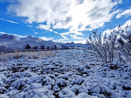 CHIHUAHUA SE VISTIÓ DE BLANCO, CAE NIEVE EN 50 MUNICIPIOS; CERRARON 20 TRAMOS CARRETEROS