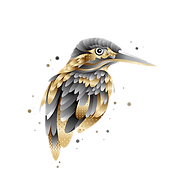 Kingfisher Kitchen Design Logo-6.png