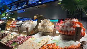 番禺行大運一天遊