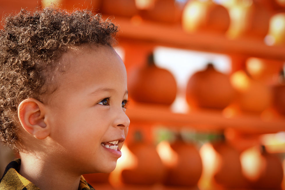 Many Pumpkins!!.jpg