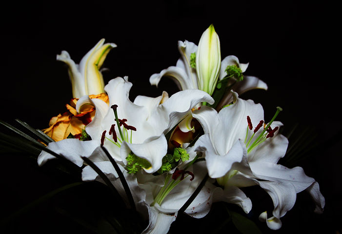 Kitchen Flower 3.jpg