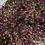 Thumbnail: SMALL JEWEL TONES