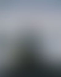 The Invention of the Nivola: Unamuno's Niebla