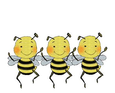 1524107_603b5.gif