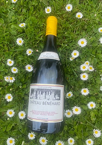 Vin Blanc 2017 Muguette 100% Chenin