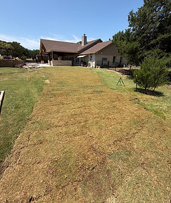 After: newly installed sod across the backyard beside a covered patio