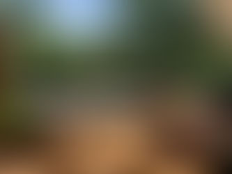 Understanding the Average Cost of Building a Custom Deck in Jacksonville: A Complete Guide