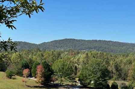 CMV Mountain View