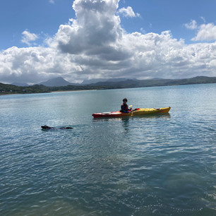 IMG_0763.jpeg
