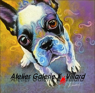 Bouledogue