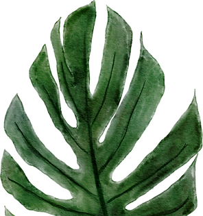 6.png
