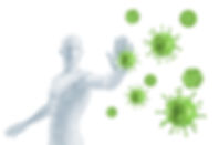 Immunsystem