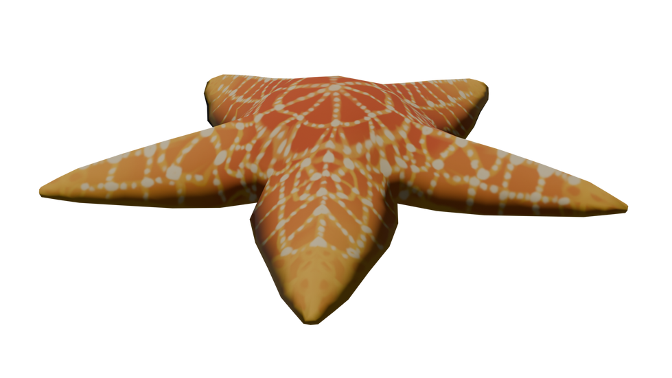 starfishCFz3dmodelfront