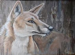 An acrylic painting portrait of a dingo