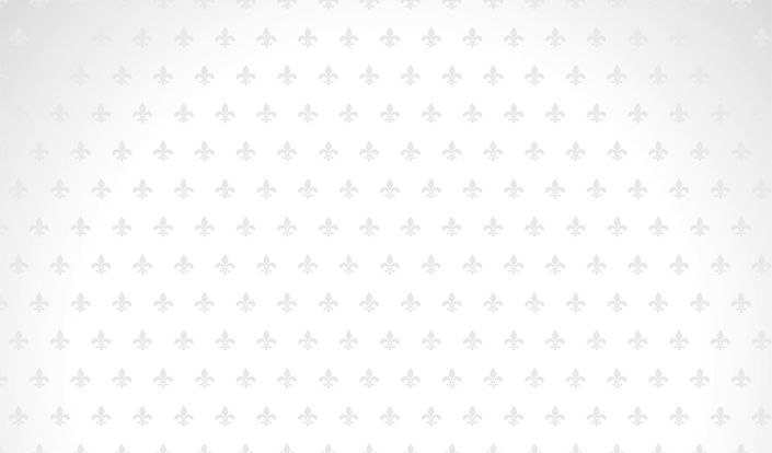 bg-grey fleur de lis_edited.jpg