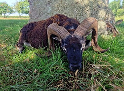 WhatsApp Image 2025-12-25 at 00.30.42.jpeg