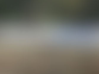 The Origins of Discover Medfield Day: Celebrating the 45th Anniversary of Discover Medfield Day