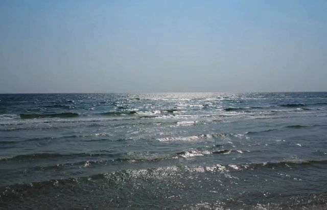 Mit den Öffis durch Melbourne