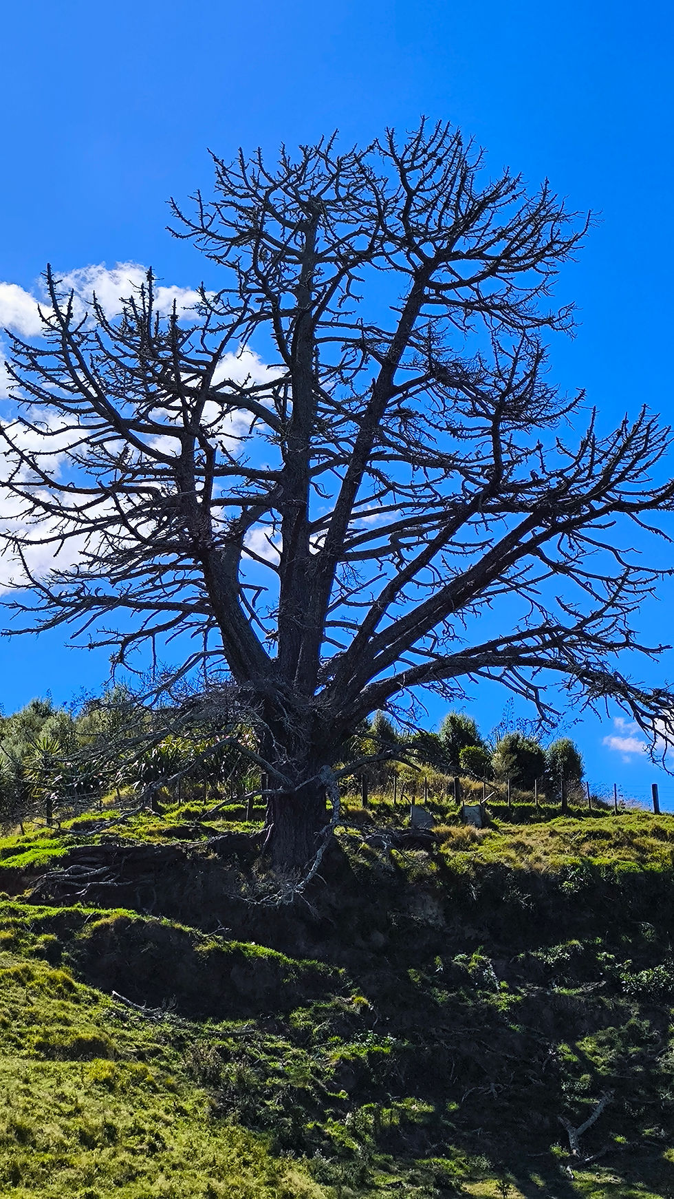Mägdeberg unter Palmen und Sonne im Gepäck
