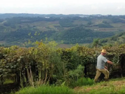 Inicia prazo para entrega da declaração do ITR 2025