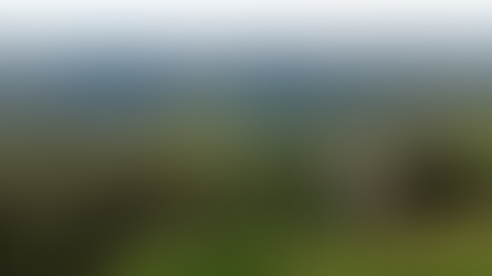 Inicia prazo para entrega da declaração do ITR 2025