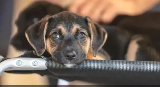 Foto: Paulo Pinto/Agência Brasil