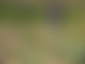 Rendimento de trabalhador rural sobe 5,5% no 1º trimestre