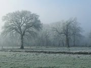 Massa de ar polar traz frio com marcas próximas a 0°C ao RS na próxima semana
